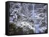 Winter Scenic at Multnomah Falls, Columbia River Gorge, Oregon, USA-Jaynes Gallery-Framed Stretched Canvas