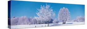 Winter Scenic Germany-null-Stretched Canvas