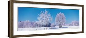 Winter Scenic Germany-null-Framed Photographic Print