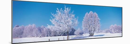 Winter Scenic Germany-null-Mounted Photographic Print