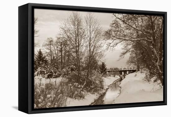Winter Scenic I-Dana Styber-Framed Stretched Canvas