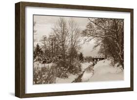 Winter Scenic I-Dana Styber-Framed Photographic Print