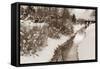 Winter Scenic II-Dana Styber-Framed Stretched Canvas