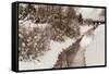 Winter Scenic II-Dana Styber-Framed Stretched Canvas