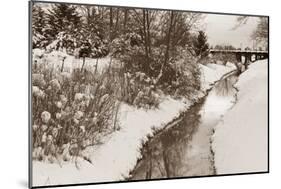 Winter Scenic II-Dana Styber-Mounted Photographic Print