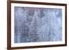 Winter scenic near Fairbanks, Alaska-Stuart Westmorland-Framed Premium Photographic Print