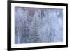 Winter scenic near Fairbanks, Alaska-Stuart Westmorland-Framed Premium Photographic Print