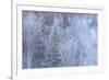 Winter scenic near Fairbanks, Alaska-Stuart Westmorland-Framed Photographic Print