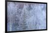 Winter scenic near Fairbanks, Alaska-Stuart Westmorland-Framed Photographic Print