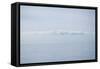 Winter Seascape-David Baker-Framed Stretched Canvas