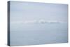 Winter Seascape-David Baker-Stretched Canvas