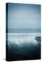 Winter Seascape-David Baker-Stretched Canvas