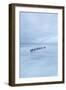 Winter Seascape-David Baker-Framed Photographic Print