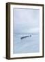 Winter Seascape-David Baker-Framed Photographic Print