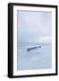 Winter Seascape-David Baker-Framed Photographic Print