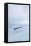 Winter Seascape-David Baker-Framed Stretched Canvas