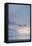 Winter Seascape-David Baker-Framed Stretched Canvas