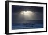 Winter Seascape-David Baker-Framed Photographic Print