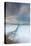 Winter Seascape-David Baker-Stretched Canvas