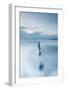 Winter Seascape-David Baker-Framed Photographic Print