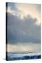 Winter Seascape-David Baker-Stretched Canvas