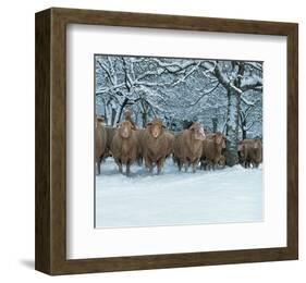 Winter Sheeps-null-Framed Art Print