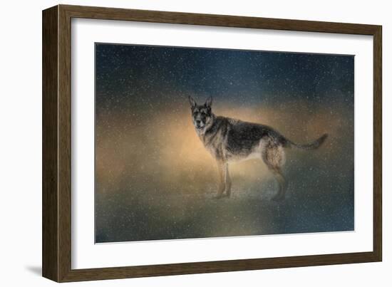 Winter Shepherd-Jai Johnson-Framed Giclee Print