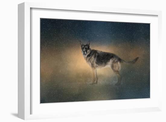 Winter Shepherd-Jai Johnson-Framed Giclee Print