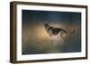 Winter Shepherd-Jai Johnson-Framed Premium Giclee Print