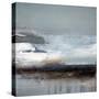 Winter Shore-Susan Cordes-Stretched Canvas