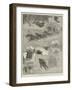 Winter Sketches in Nova Scotia-null-Framed Giclee Print