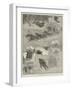 Winter Sketches in Nova Scotia-null-Framed Giclee Print