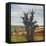 Winter Sky, 1998-Cristiana Angelini-Framed Stretched Canvas