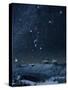 Winter Sky with Orion Constellation-Eckhard Slawik-Stretched Canvas