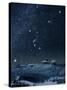 Winter Sky with Orion Constellation-Eckhard Slawik-Stretched Canvas