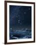 Winter Sky with Orion Constellation-Eckhard Slawik-Framed Photographic Print