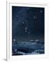 Winter Sky with Orion Constellation-Eckhard Slawik-Framed Photographic Print