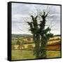 Winter Sky-Cristiana Angelini-Framed Stretched Canvas