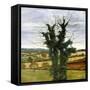 Winter Sky-Cristiana Angelini-Framed Stretched Canvas