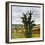 Winter Sky-Cristiana Angelini-Framed Giclee Print