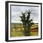 Winter Sky-Cristiana Angelini-Framed Giclee Print