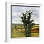 Winter Sky-Cristiana Angelini-Framed Giclee Print