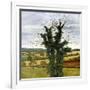 Winter Sky-Cristiana Angelini-Framed Giclee Print