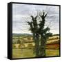 Winter Sky-Cristiana Angelini-Framed Stretched Canvas