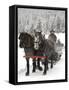 Winter Sleigh Ride, Lake Louise, Alberta, Canada-Cindy Miller Hopkins-Framed Stretched Canvas