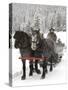 Winter Sleigh Ride, Lake Louise, Alberta, Canada-Cindy Miller Hopkins-Stretched Canvas