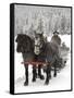 Winter Sleigh Ride, Lake Louise, Alberta, Canada-Cindy Miller Hopkins-Framed Stretched Canvas