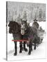 Winter Sleigh Ride, Lake Louise, Alberta, Canada-Cindy Miller Hopkins-Stretched Canvas