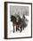 Winter Sleigh Ride, Lake Louise, Alberta, Canada-Cindy Miller Hopkins-Framed Photographic Print