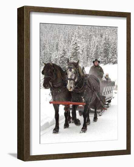 Winter Sleigh Ride, Lake Louise, Alberta, Canada-Cindy Miller Hopkins-Framed Photographic Print